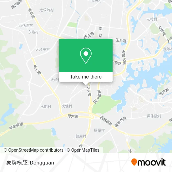象牌模胚 map
