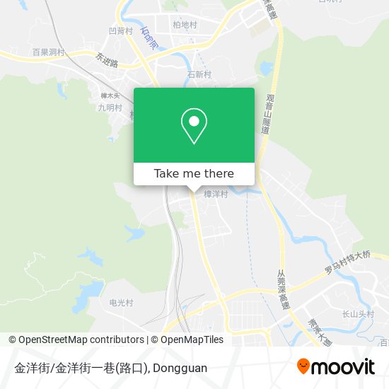 金洋街/金洋街一巷(路口) map