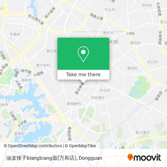 油泼辣子biangbiang面(万和店) map