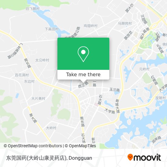 东莞国药(大岭山康灵药店) map