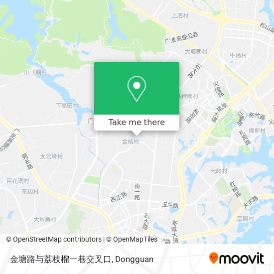 金塘路与荔枝榴一巷交叉口 map