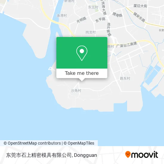 东莞市石上精密模具有限公司 map