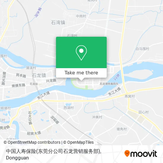 中国人寿保险(东莞分公司石龙营销服务部) map