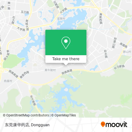 东莞康华药店 map