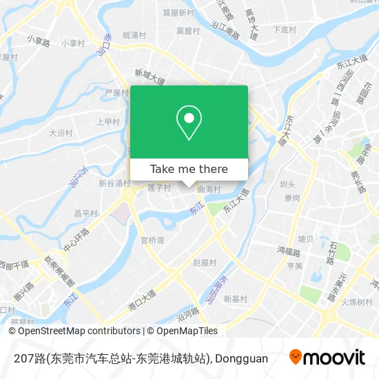 207路(东莞市汽车总站-东莞港城轨站) map
