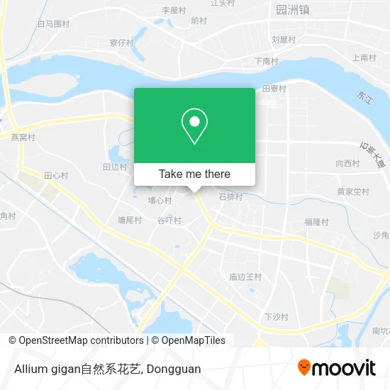 Allium gigan自然系花艺 map