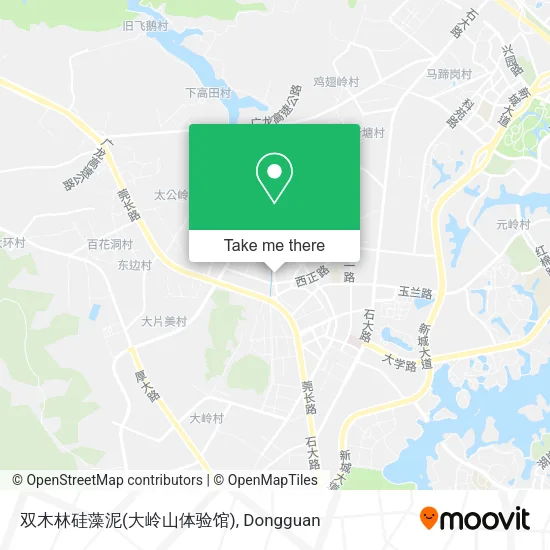 双木林硅藻泥(大岭山体验馆) map