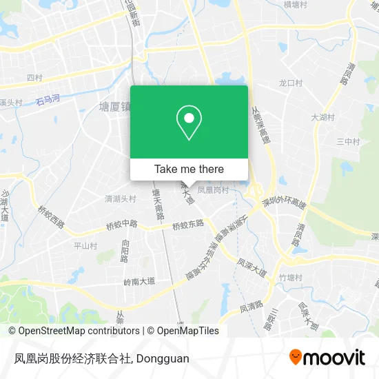凤凰岗股份经济联合社 map