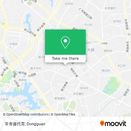 常青藤托育 map