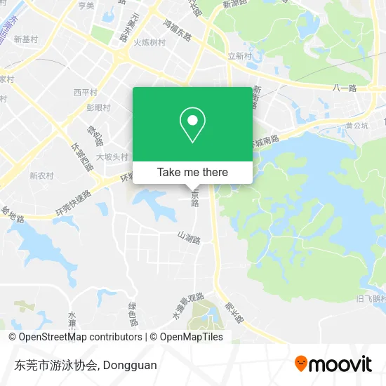 东莞市游泳协会 map