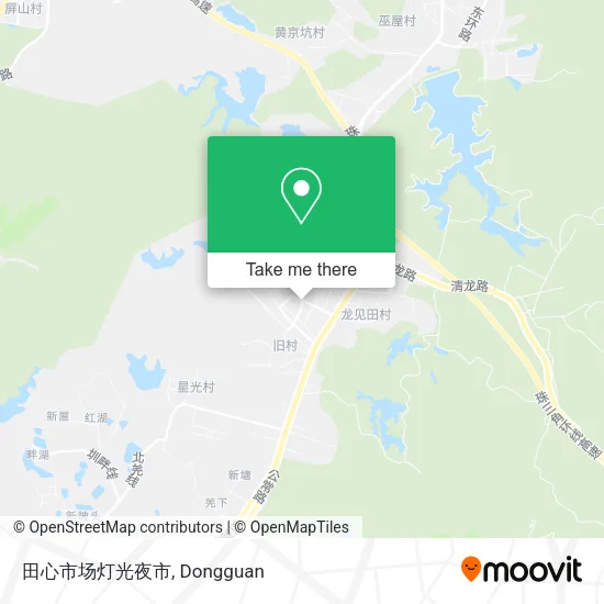 田心市场灯光夜市 map