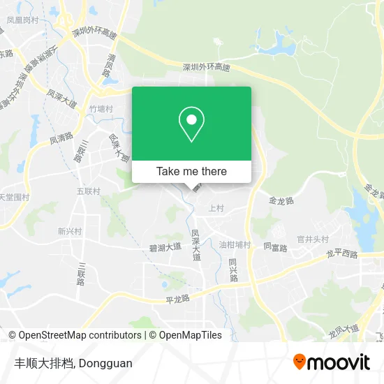丰顺大排档 map