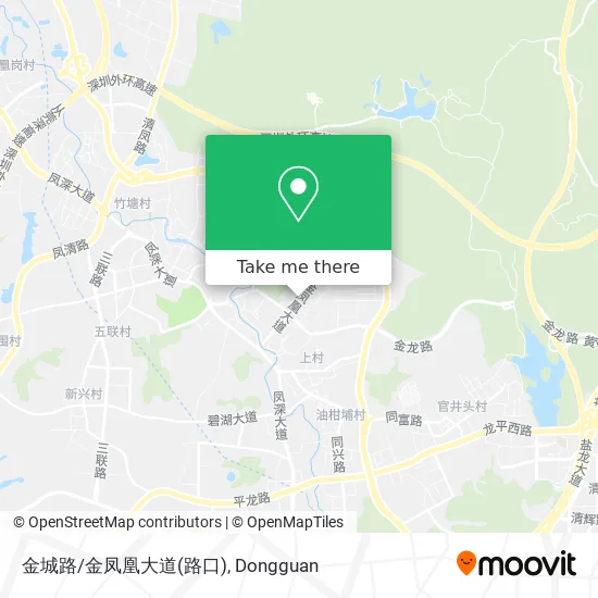 金城路/金凤凰大道(路口) map