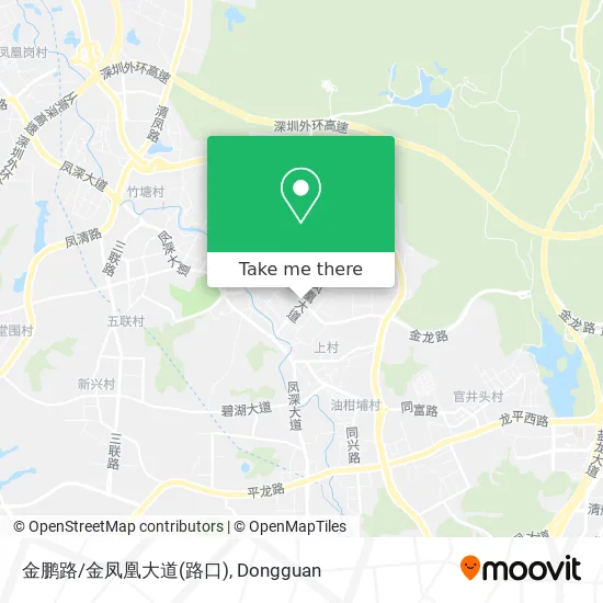 金鹏路/金凤凰大道(路口) map