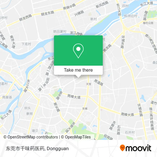 东莞市千味药医药 map