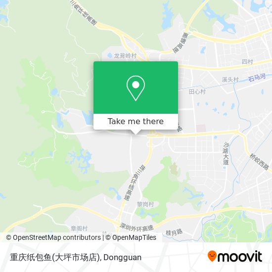 重庆纸包鱼(大坪市场店) map