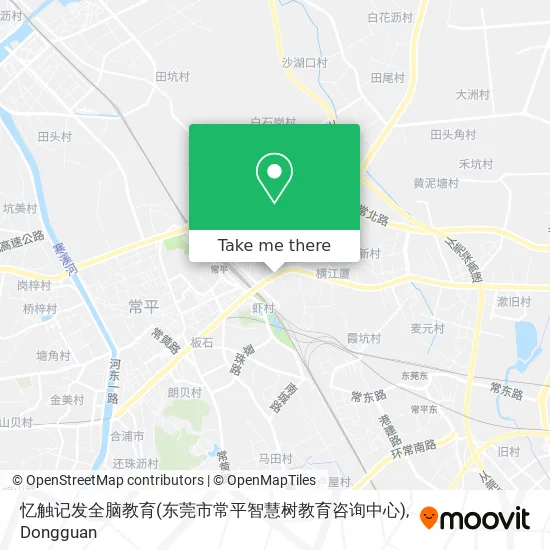 忆触记发全脑教育(东莞市常平智慧树教育咨询中心) map