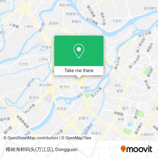 椰林海鲜码头(万江店) map