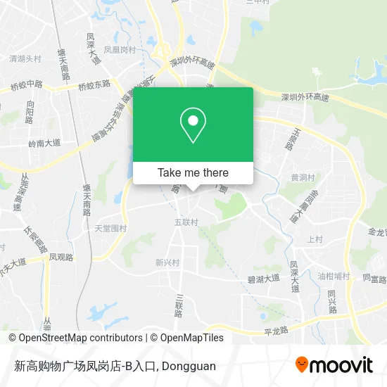 新高购物广场凤岗店-B入口 map