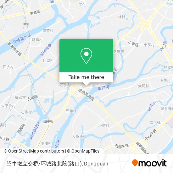望牛墩立交桥/环城路北段(路口) map