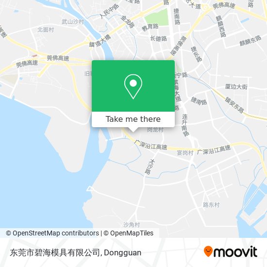 东莞市碧海模具有限公司 map