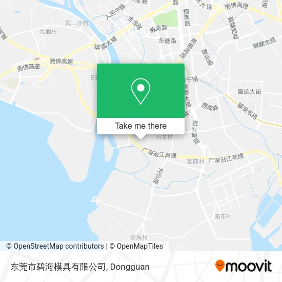 东莞市碧海模具有限公司 map