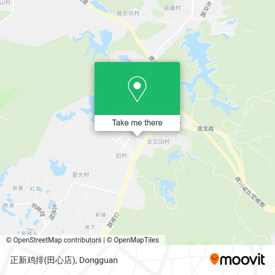 正新鸡排(田心店) map