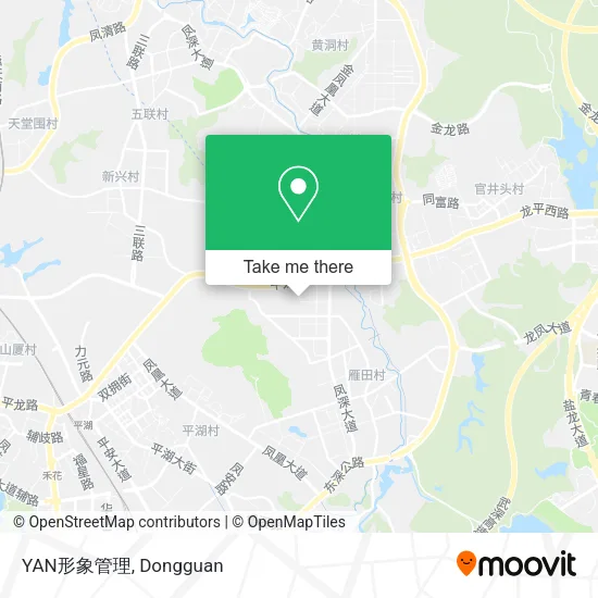 YAN形象管理 map