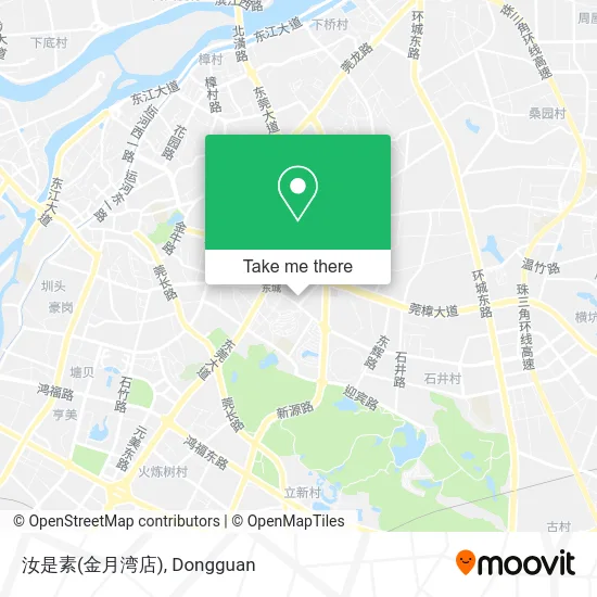 汝是素(金月湾店) map