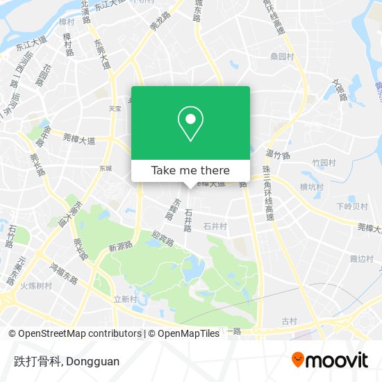 跌打骨科 map