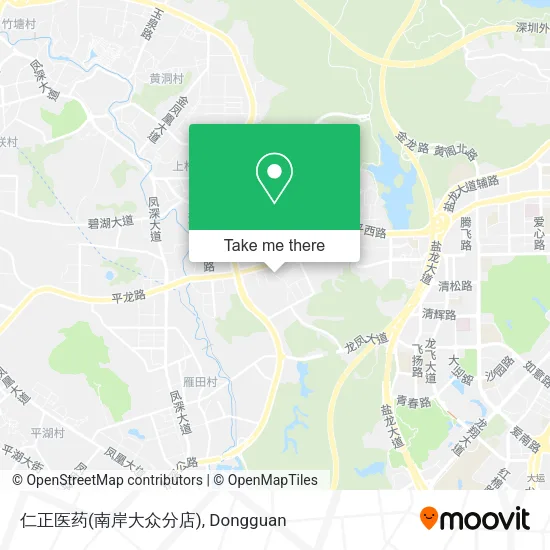 仁正医药(南岸大众分店) map
