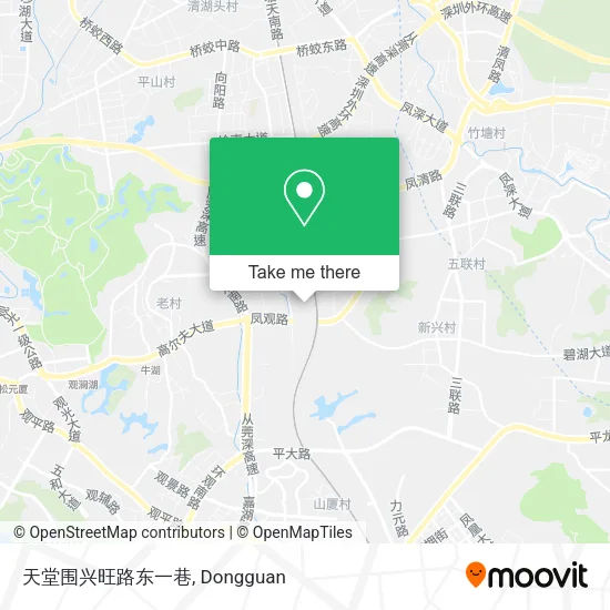 天堂围兴旺路东一巷 map
