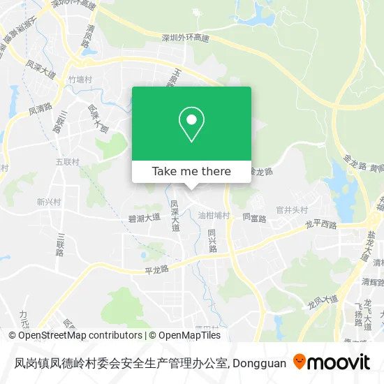 凤岗镇凤德岭村委会安全生产管理办公室 map