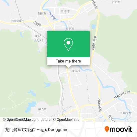 龙门烤鱼(文化街三巷) map