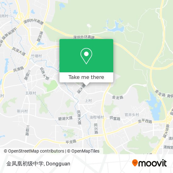 金凤凰初级中学 map