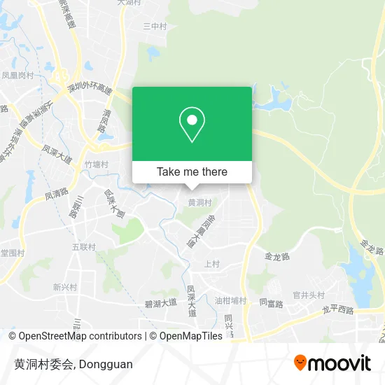黄洞村委会 map
