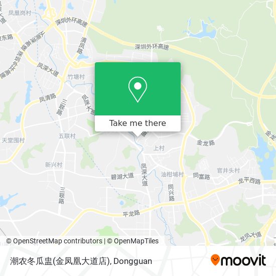 潮农冬瓜盅(金凤凰大道店) map