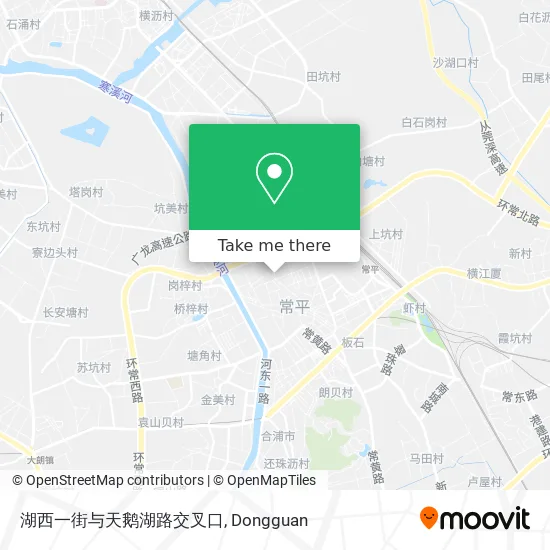 湖西一街与天鹅湖路交叉口 map