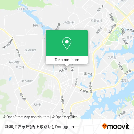 新丰江农家庄(西正东路店) map