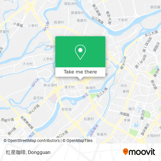 红星咖啡 map