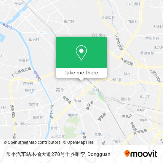 常平汽车站木棆大道278号千胜唯李 map