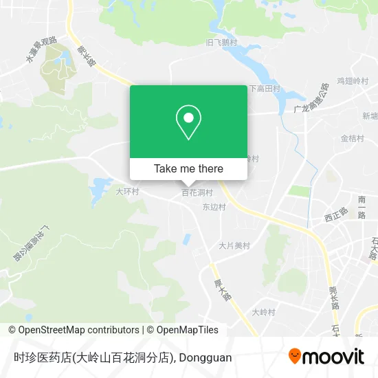 时珍医药店(大岭山百花洞分店) map