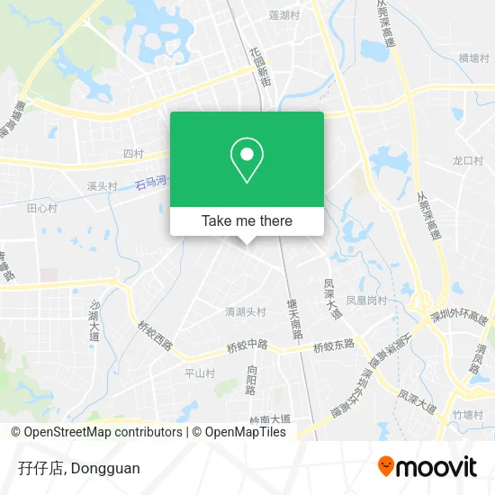 孖仔店 map