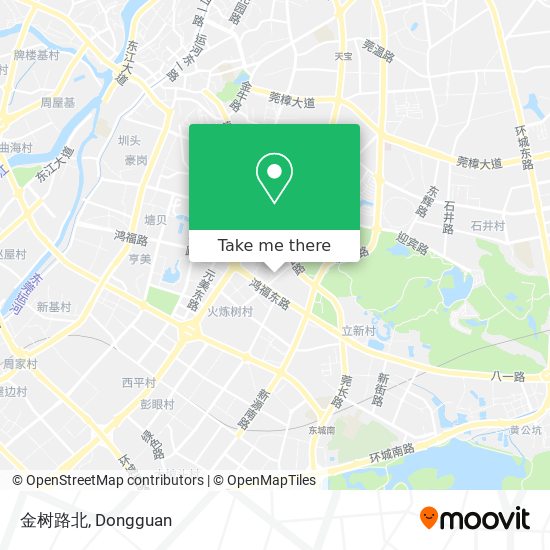 金树路北 map