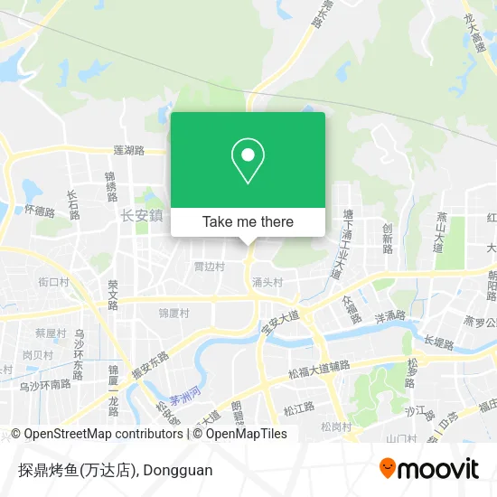 探鼎烤鱼(万达店) map