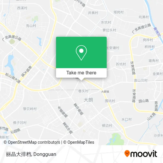 丽晶大排档 map