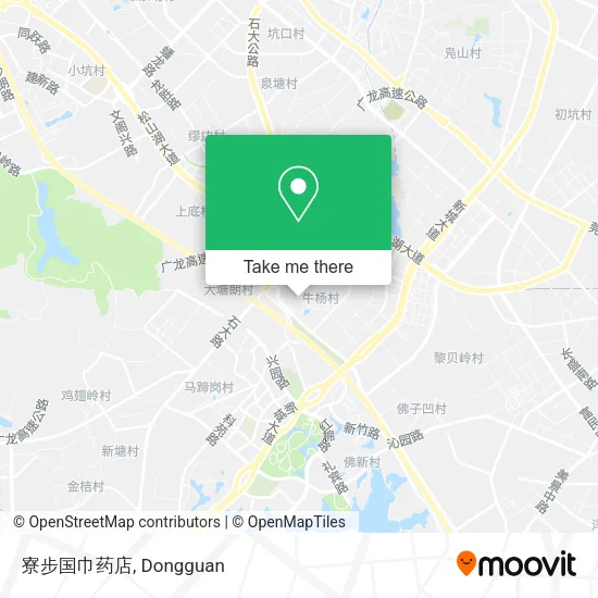 寮步国巾药店 map