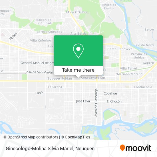 Ginecologo-Molina Silvia Mariel map