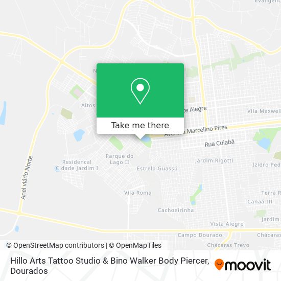 Hillo Arts Tattoo Studio & Bino Walker Body Piercer map
