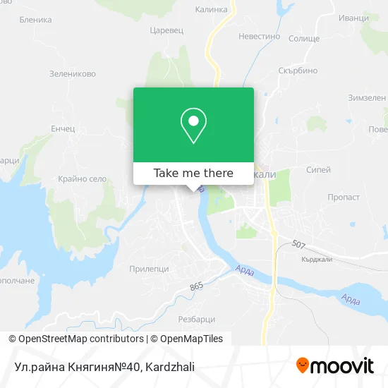 Карта Ул.райна Княгиня№40